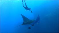 Mexico 2022 TOP freediving